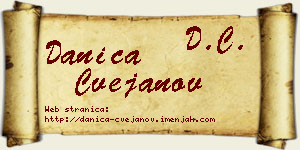 Danica Cvejanov vizit kartica